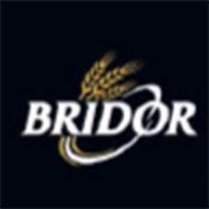 BRIDOR